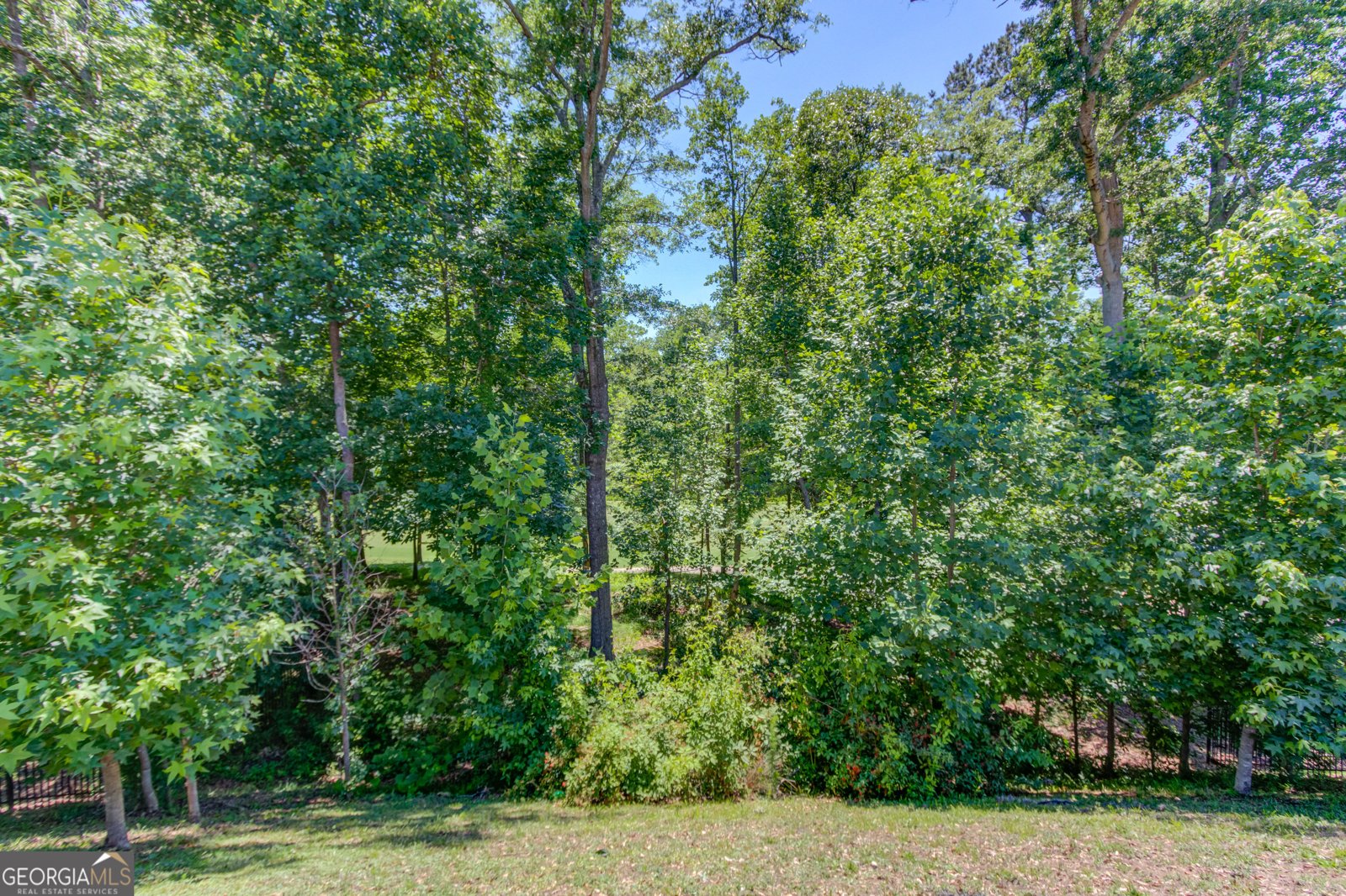 6025 Ash Hill Place Hoschton - Photo 47