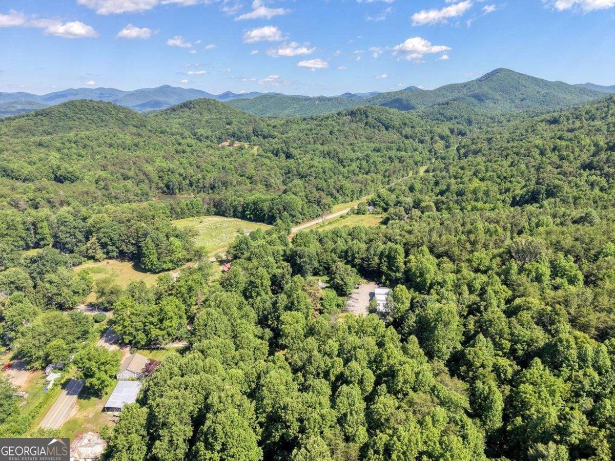 521 Sunnyside Road Hiawassee - Photo 45