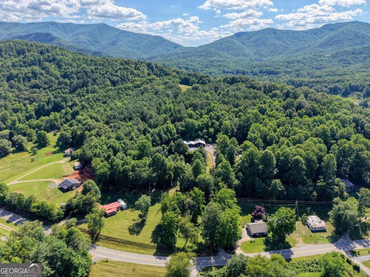 521 Sunnyside Road Hiawassee - Photo 46