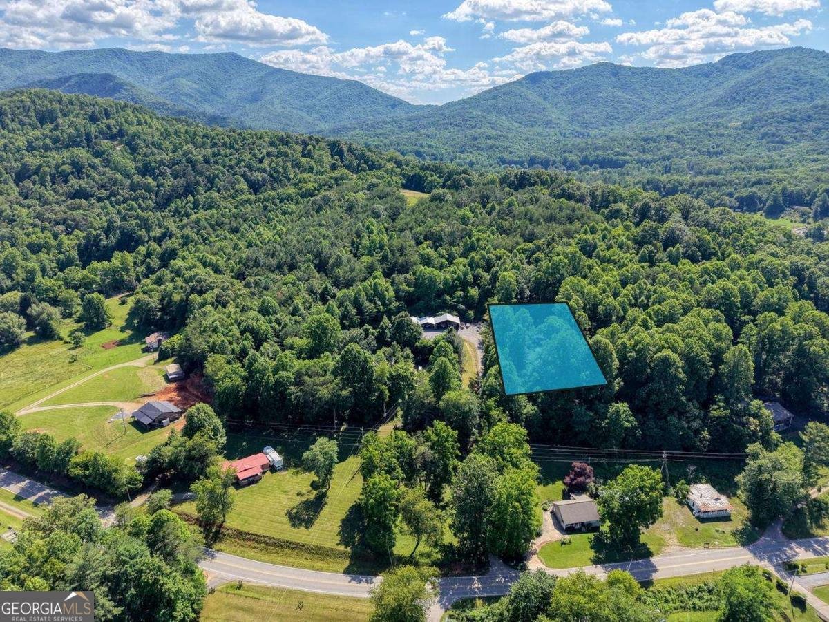 521 Sunnyside Road Hiawassee - Photo 47