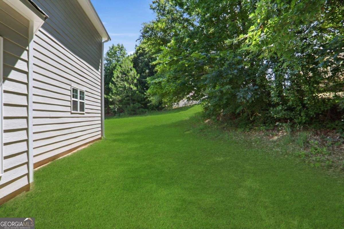 424 Payton Court Stockbridge - Photo 73
