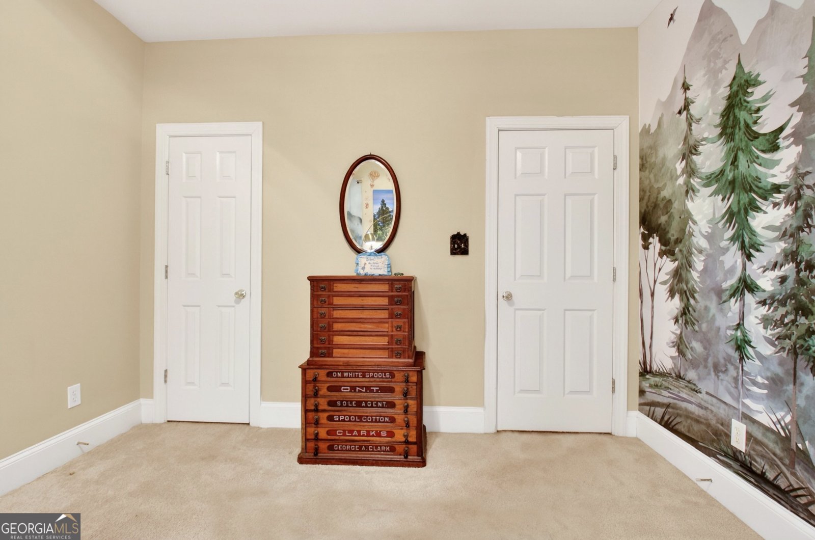 220 Farr Lake Drive Tyrone - Photo 48