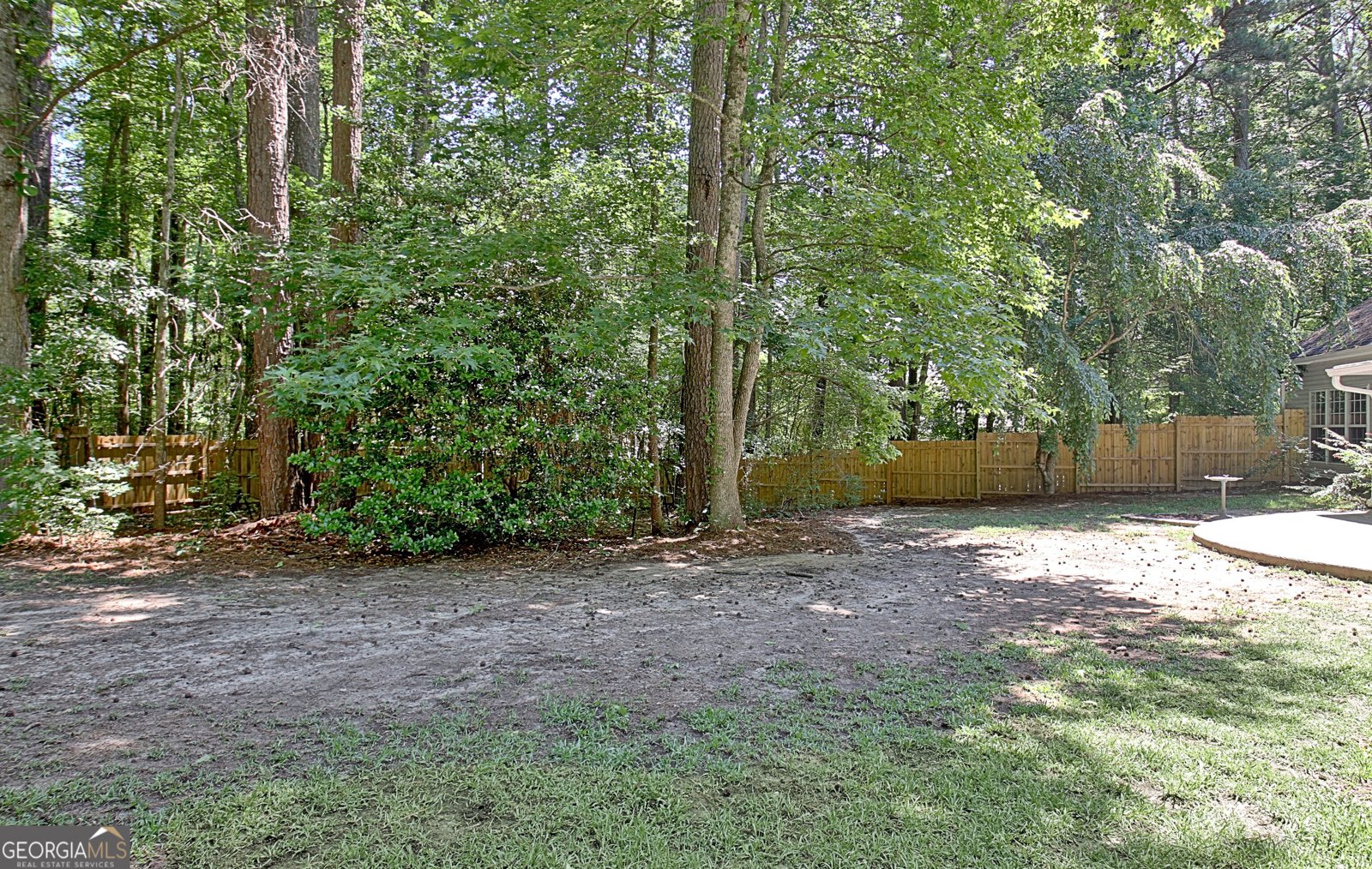 220 Farr Lake Drive Tyrone - Photo 59