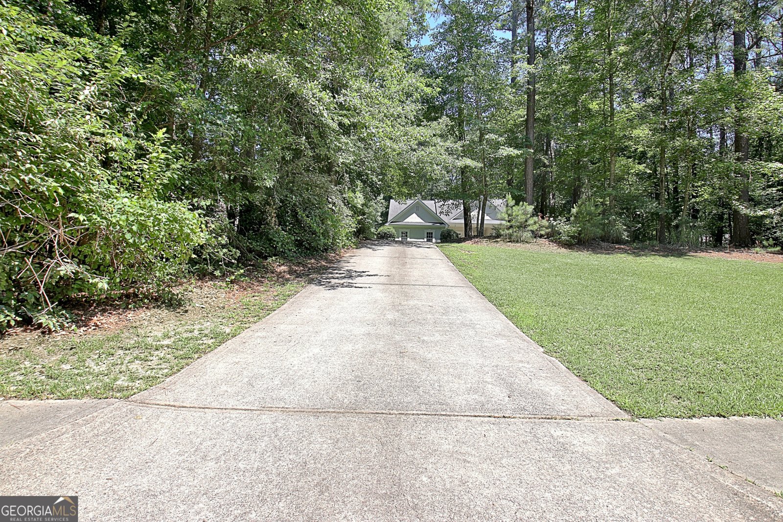 220 Farr Lake Drive Tyrone - Photo 64