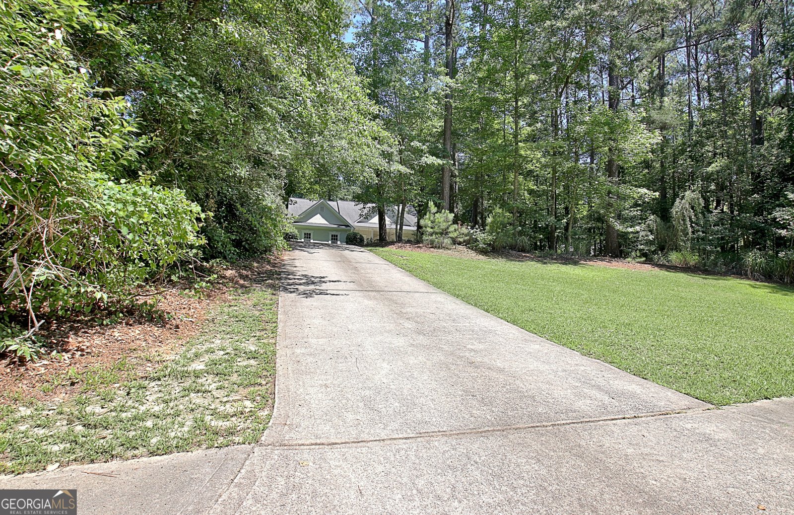 220 Farr Lake Drive Tyrone - Photo 65