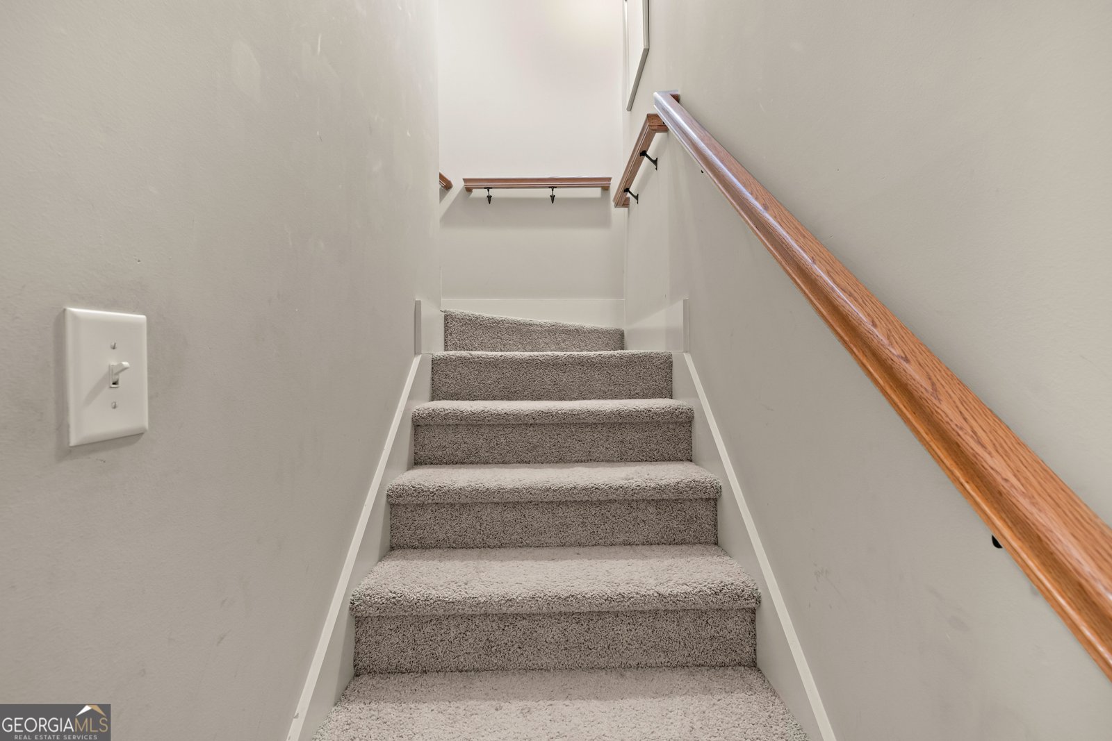 134 Beaumont Farms Drive Sharpsburg - Photo 47