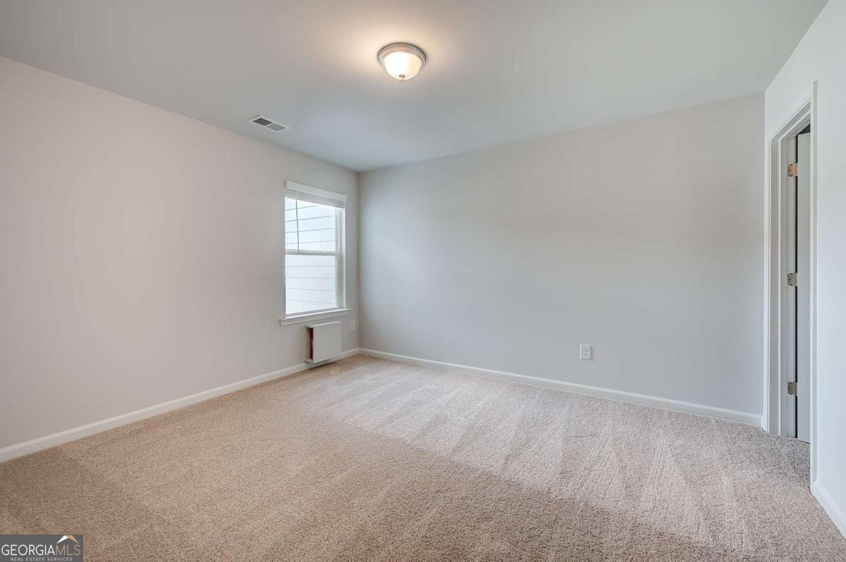 369 Heavenly Hollow Place Mcdonough - Photo 17