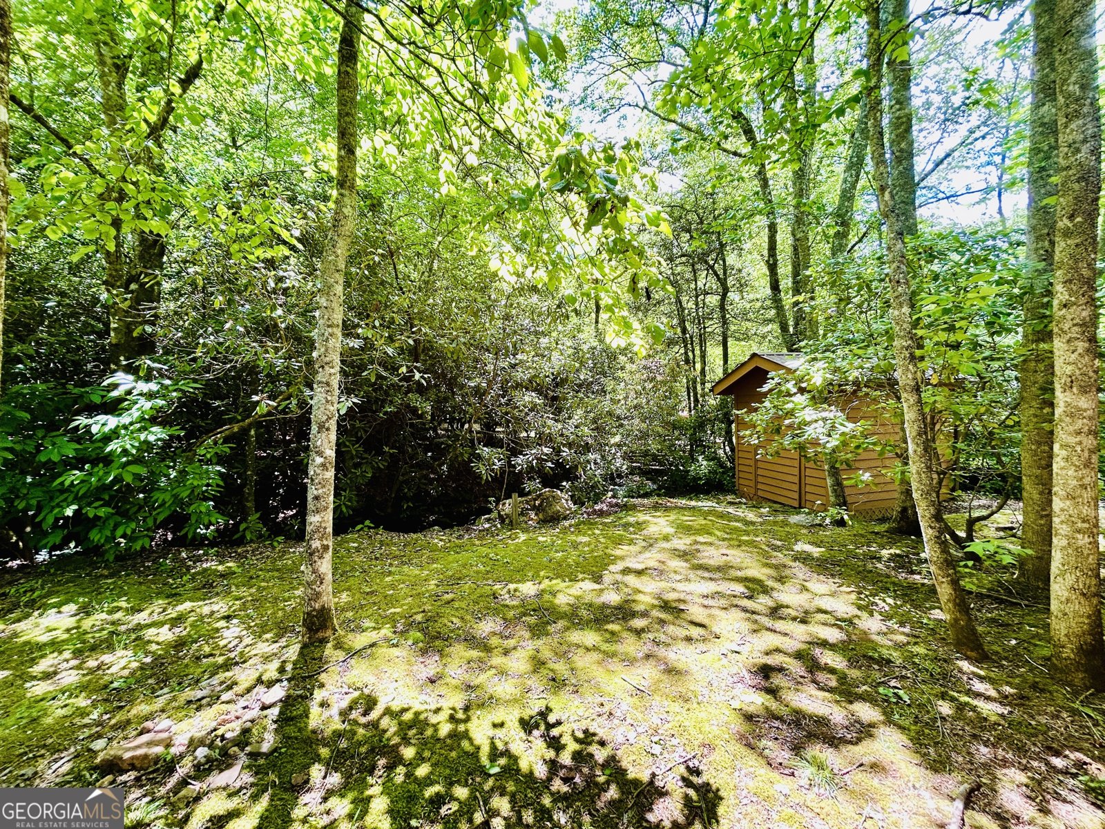 1815 Canoe Creek Dr Hiawassee - Photo 29