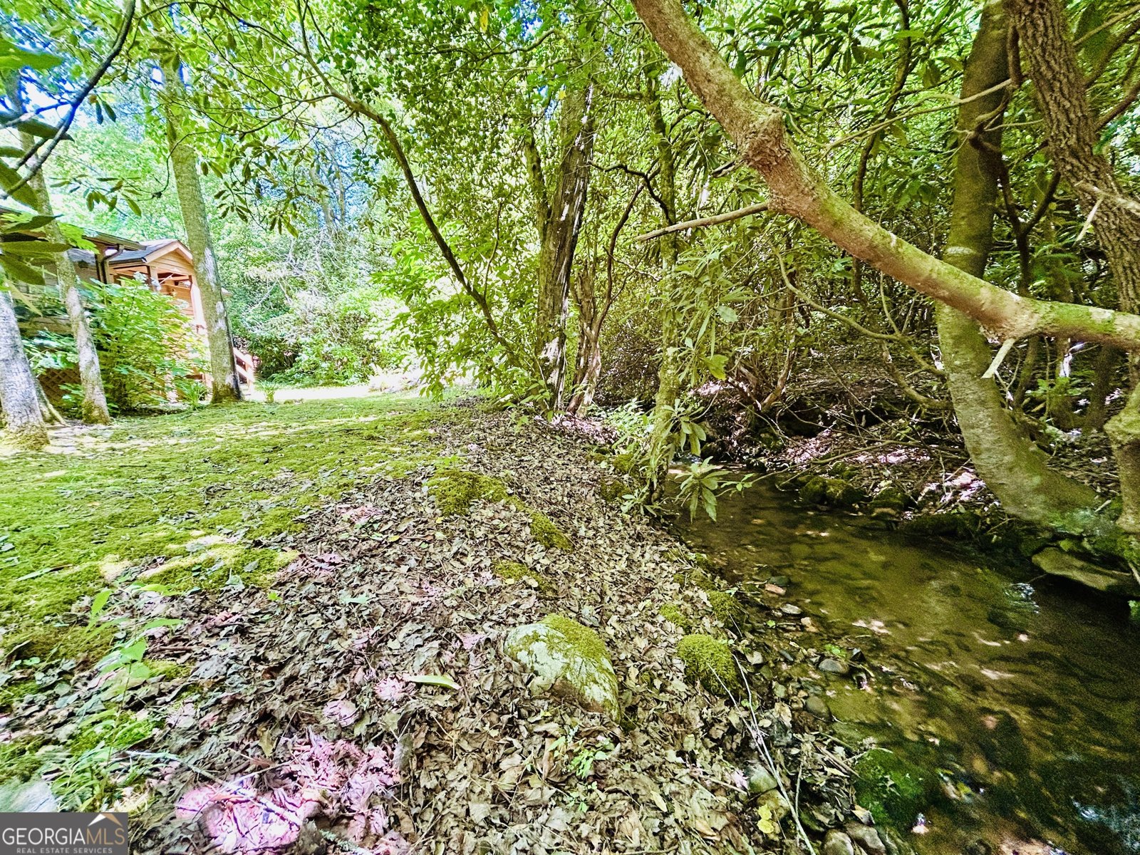 1815 Canoe Creek Dr Hiawassee - Photo 30