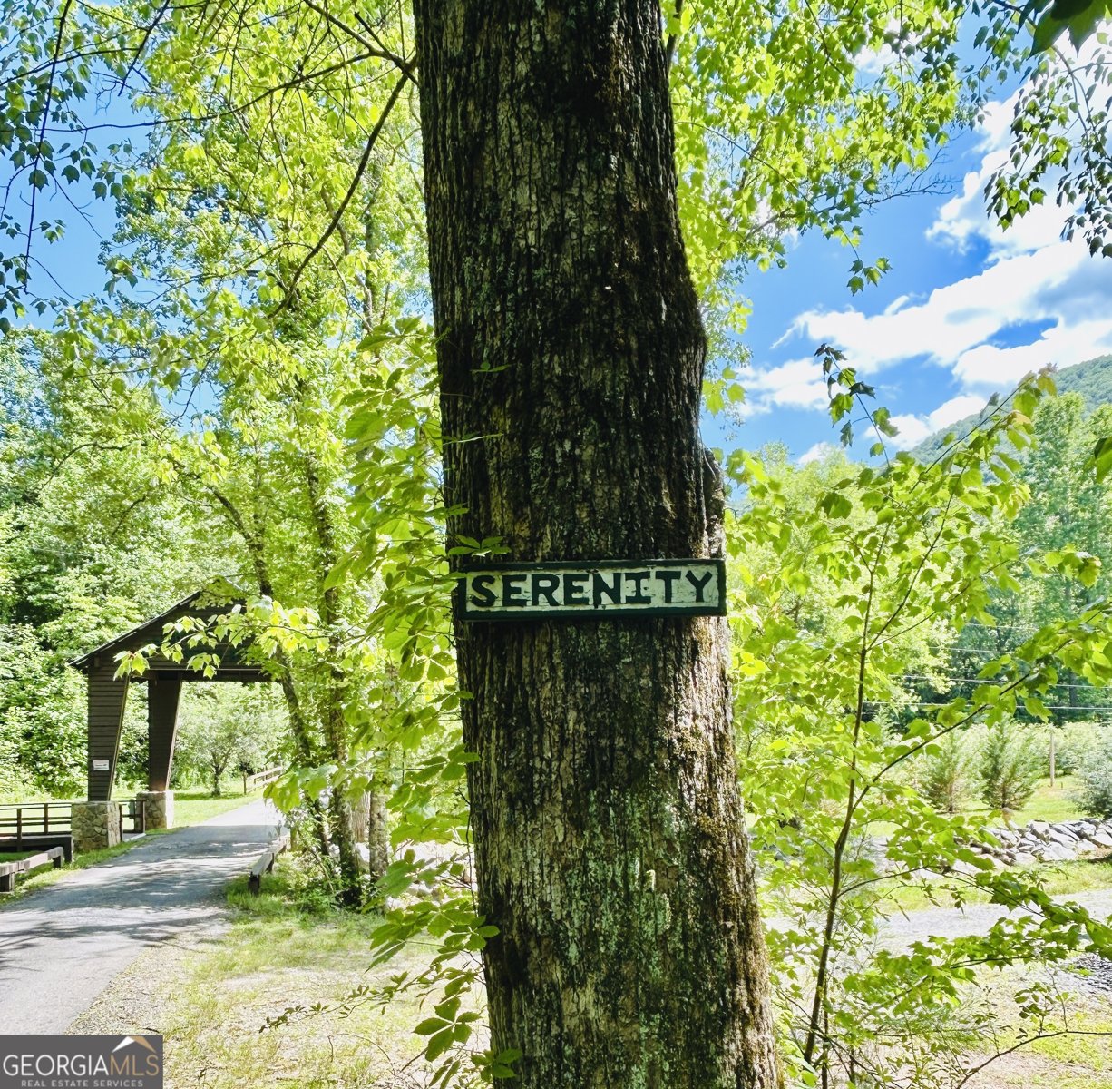 1815 Canoe Creek Dr Hiawassee - Photo 40