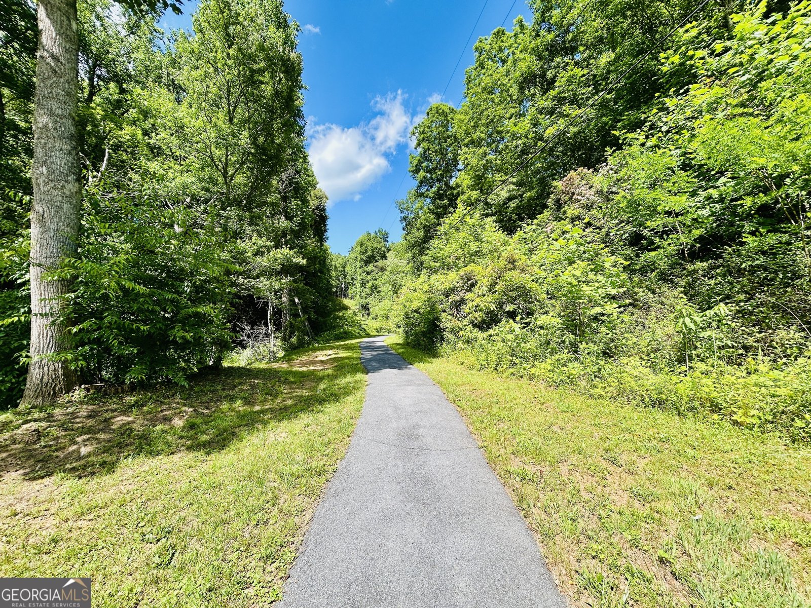 1815 Canoe Creek Dr Hiawassee - Photo 41