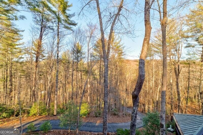 138 Lucius Lane Cherry Log - Photo 38