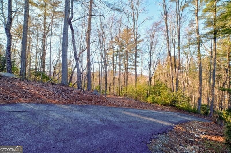 138 Lucius Lane Cherry Log - Photo 40