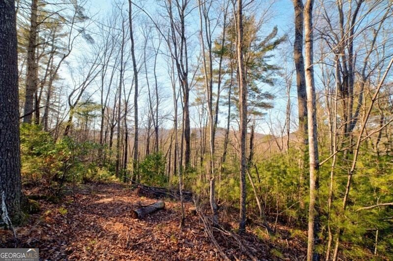 138 Lucius Lane Cherry Log - Photo 41