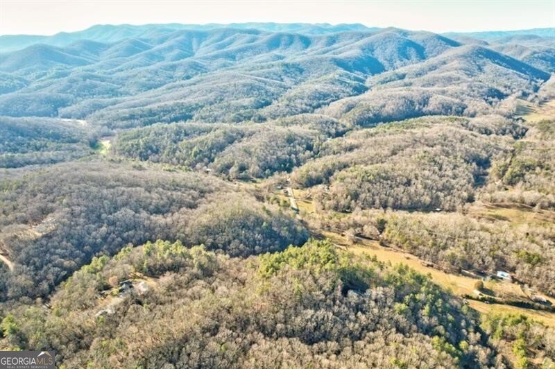 138 Lucius Lane Cherry Log - Photo 44