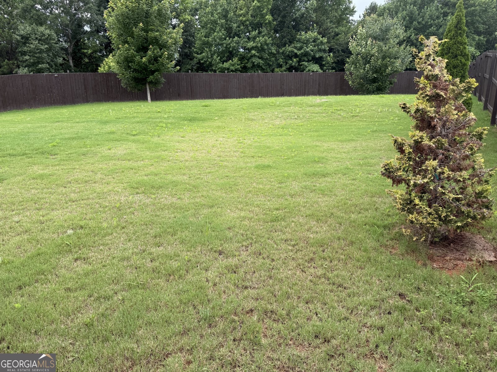 408 Exploration Trace Ellenwood - Photo 19