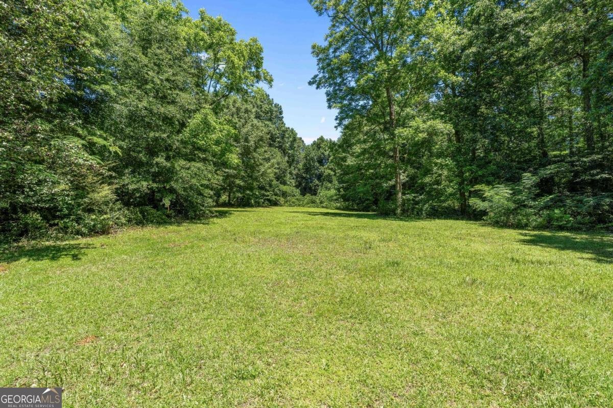 2385 Mount Zion Road Carrollton - Photo 33