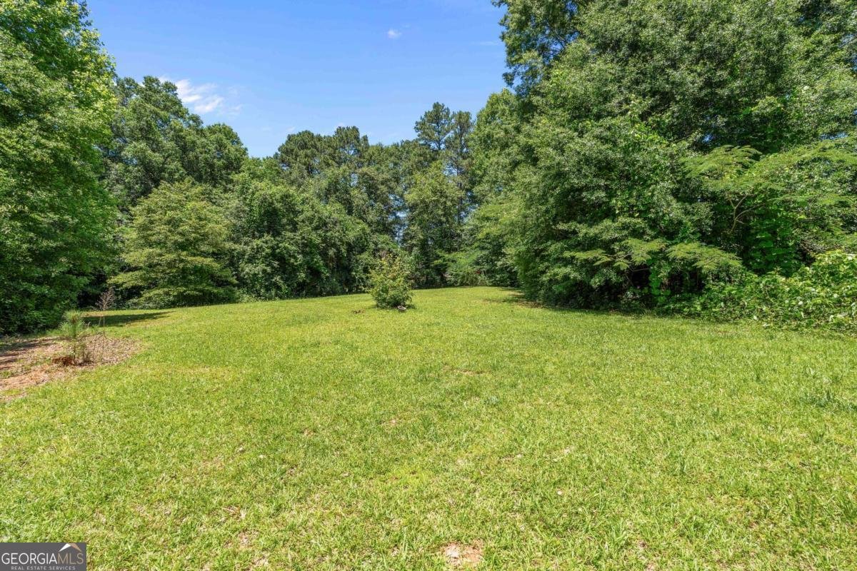 2385 Mount Zion Road Carrollton - Photo 34