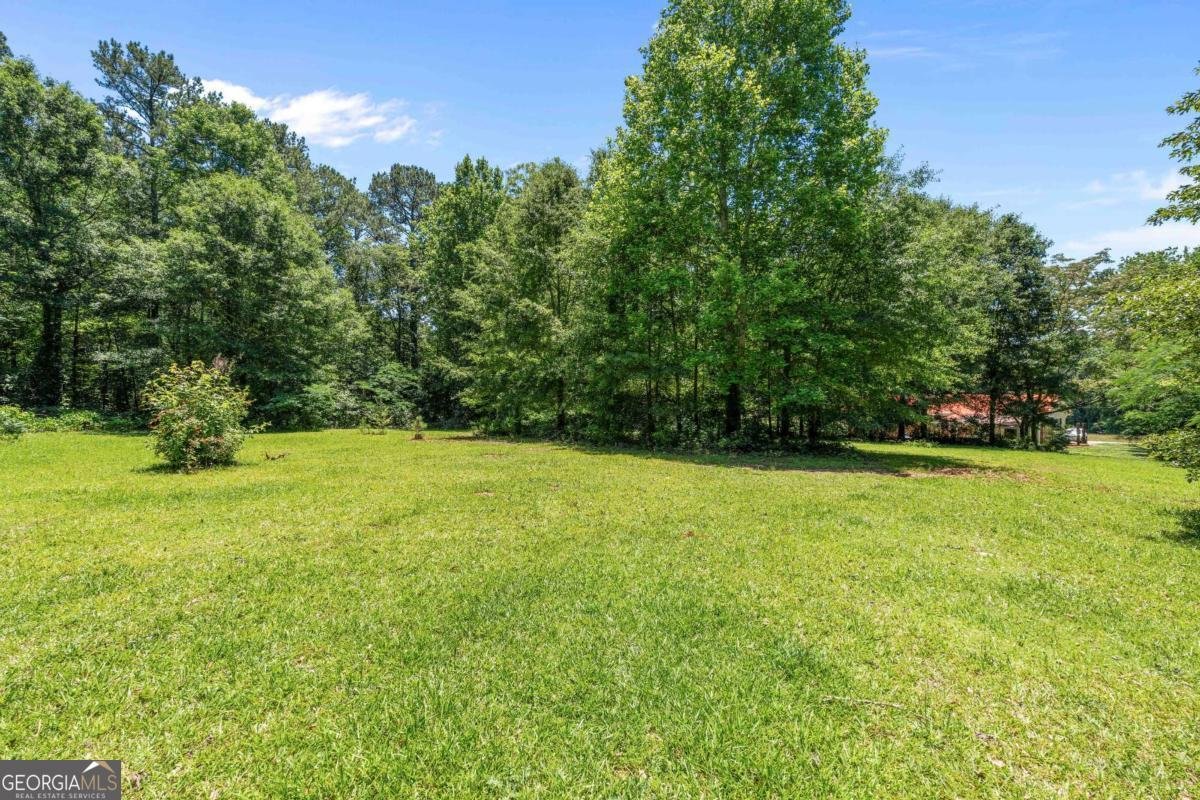 2385 Mount Zion Road Carrollton - Photo 35