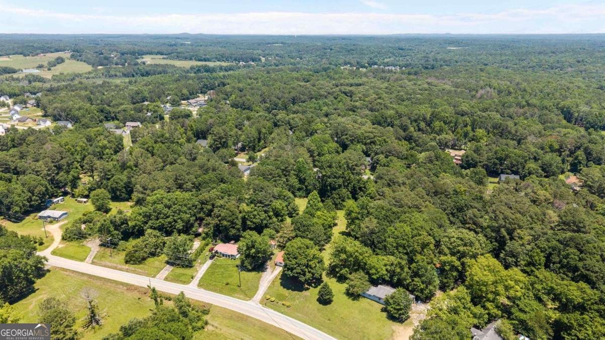 2385 Mount Zion Road Carrollton - Photo 39