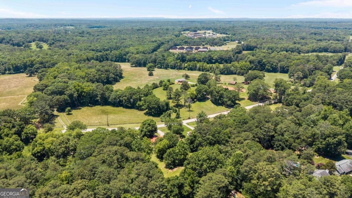 2385 Mount Zion Road Carrollton - Photo 41