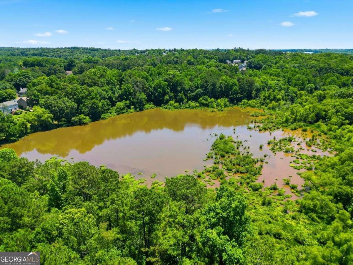 3867 Hickory Manor Drive Suwanee - Photo 51