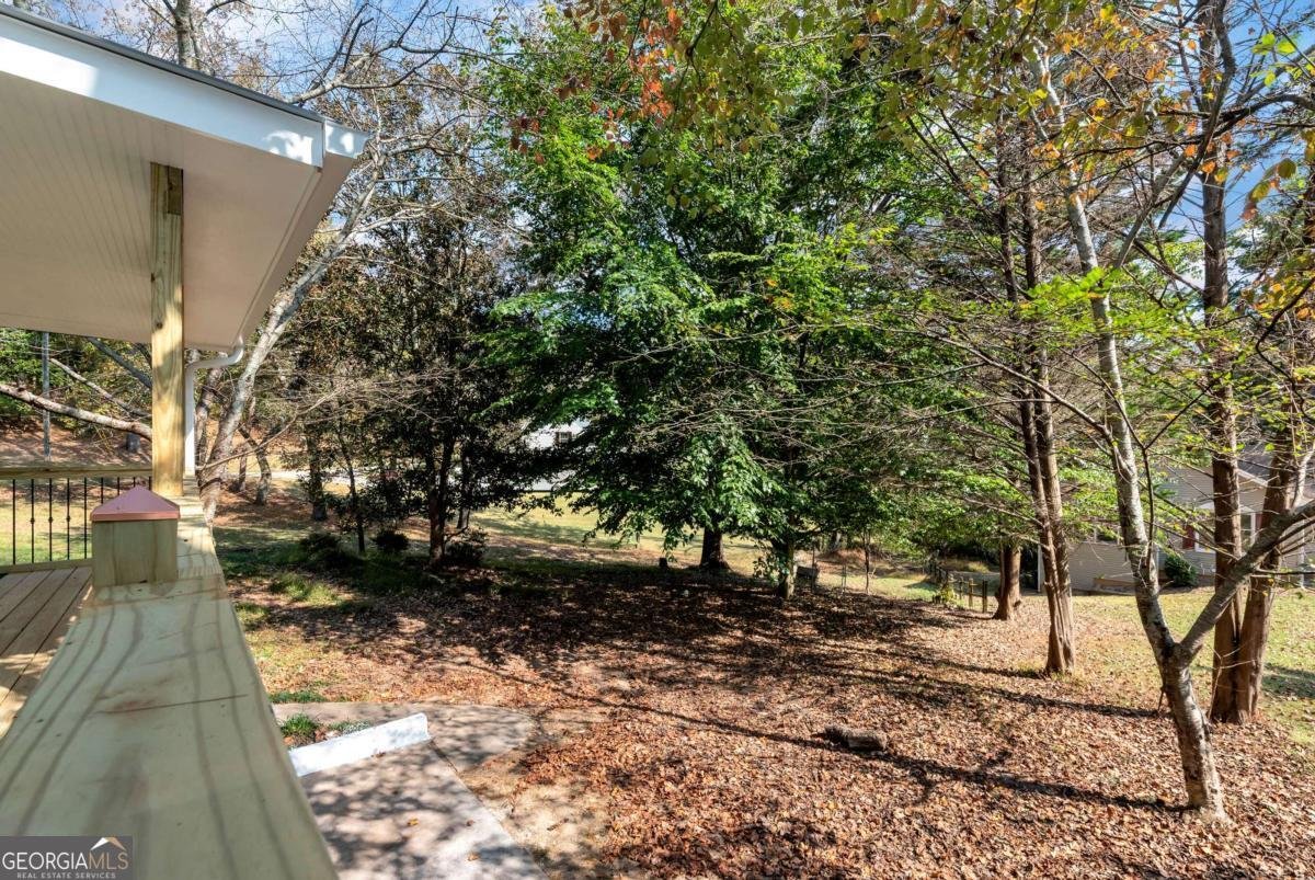 75 Lake Drive Dawsonville - Photo 43