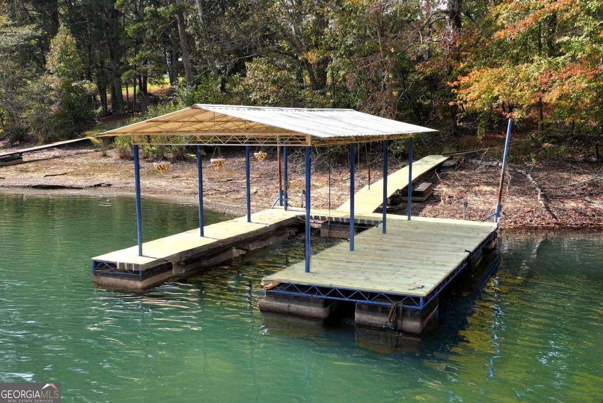 75 Lake Drive Dawsonville - Photo 59