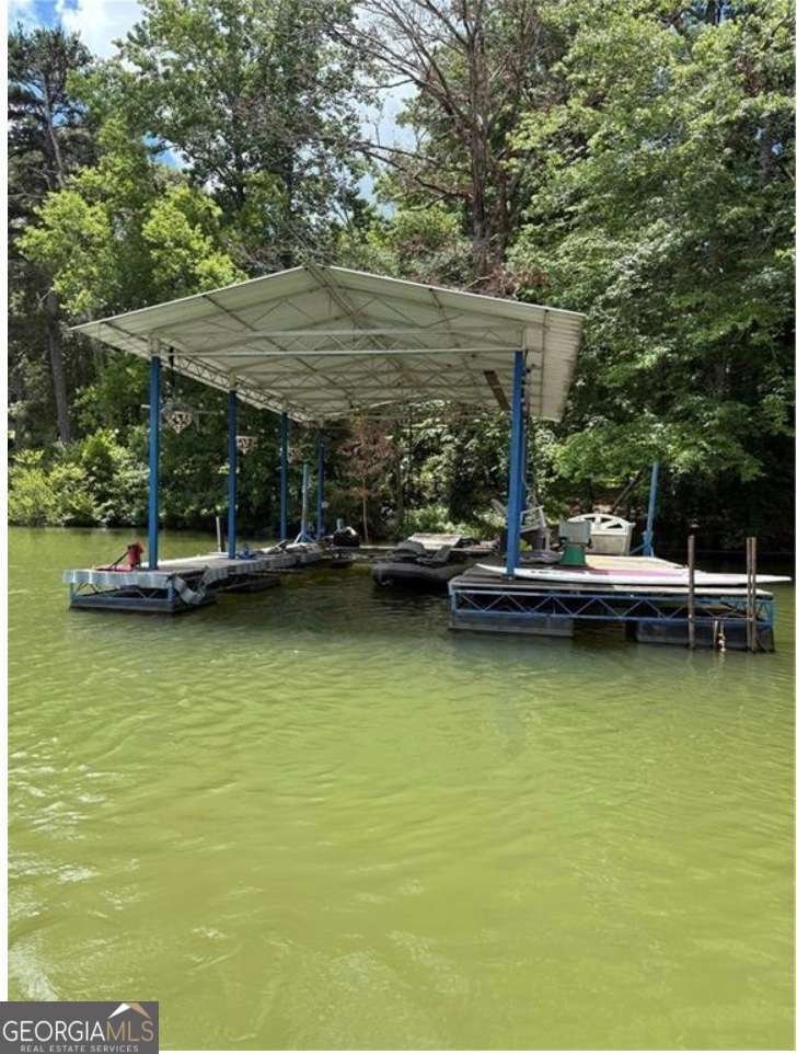 75 Lake Drive Dawsonville - Photo 64