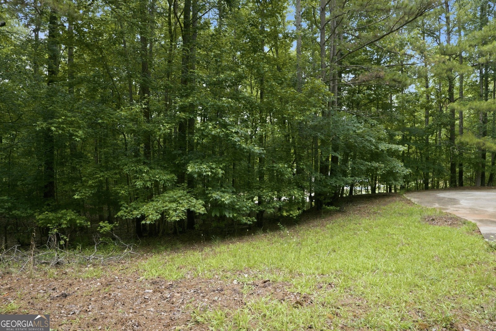 370 Darren Drive Fayetteville - Photo 34