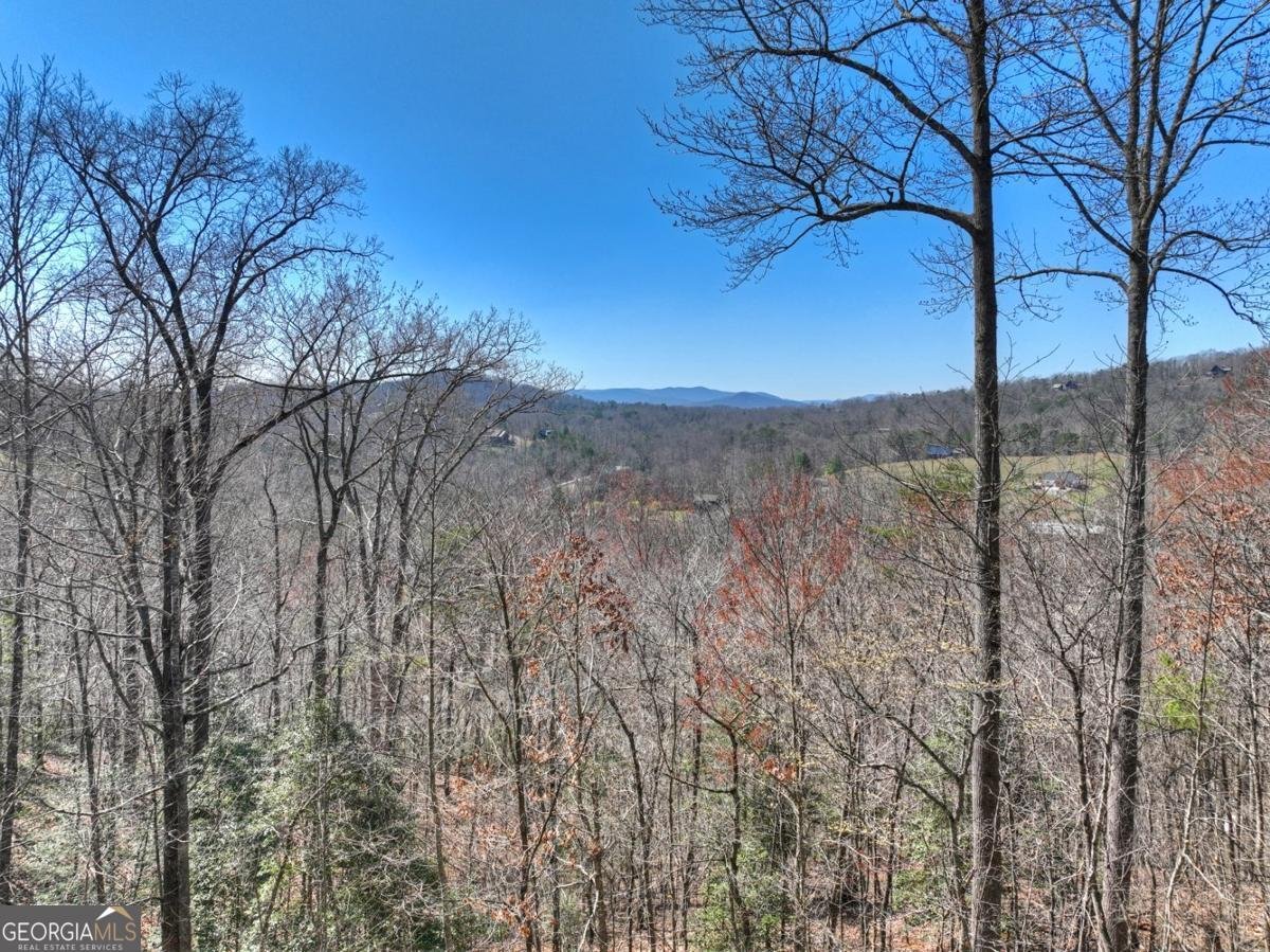 195 Trina Lane Blue Ridge - Photo 10