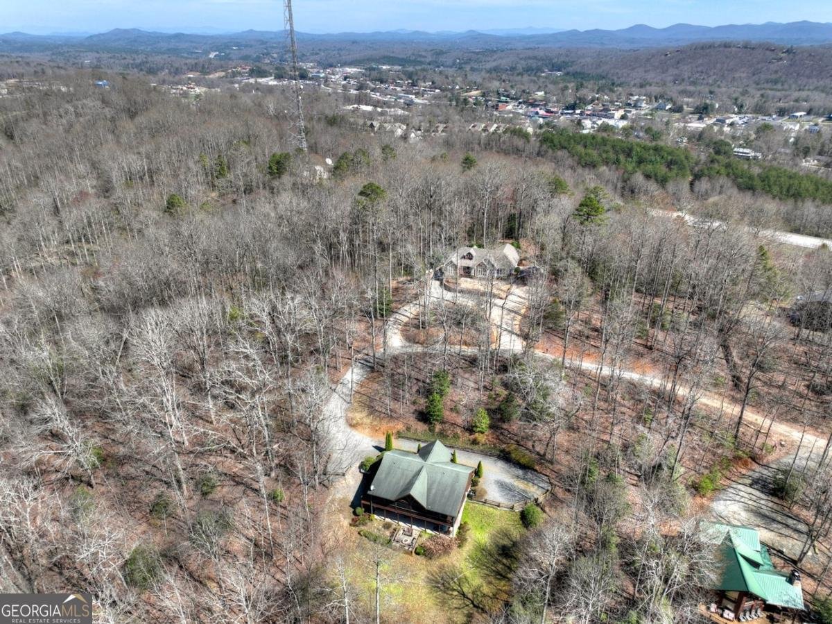 195 Trina Lane Blue Ridge - Photo 20