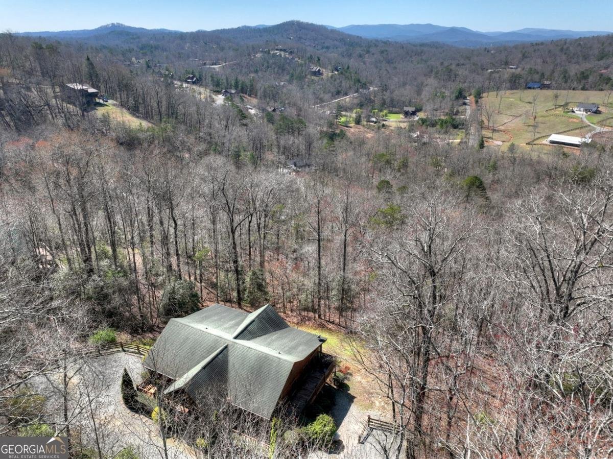 195 Trina Lane Blue Ridge - Photo 24