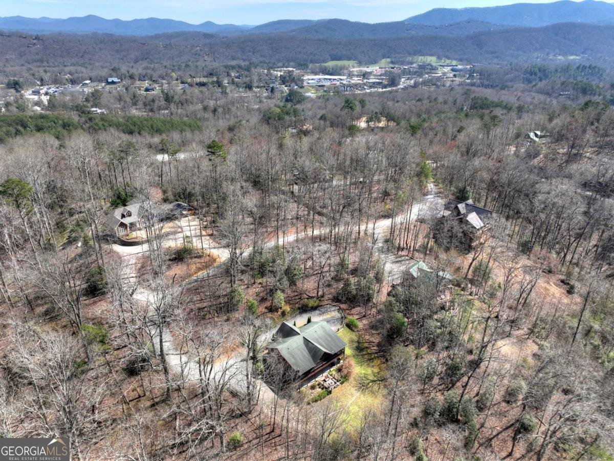 195 Trina Lane Blue Ridge - Photo 28