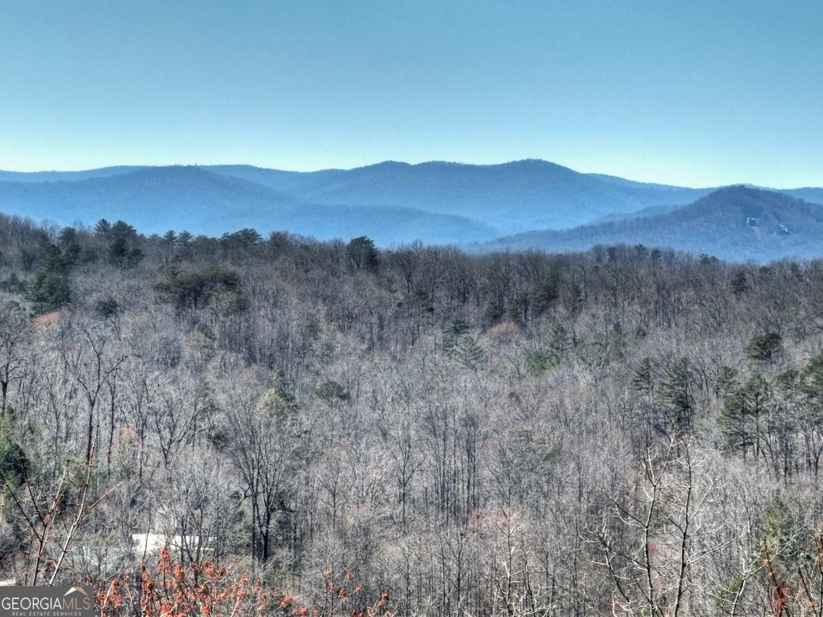 195 Trina Lane Blue Ridge - Photo 29