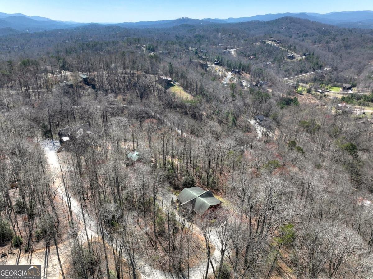 195 Trina Lane Blue Ridge - Photo 54