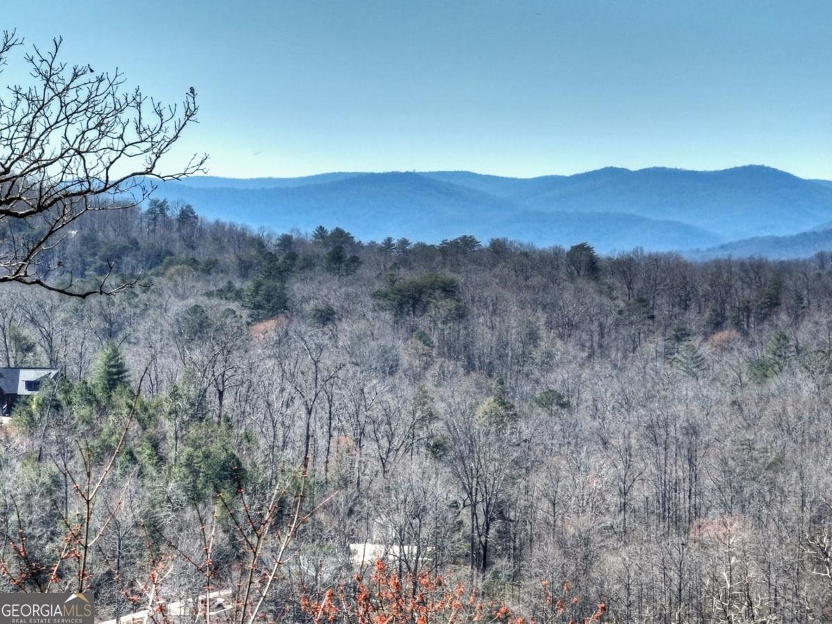 195 Trina Lane Blue Ridge - Photo 62