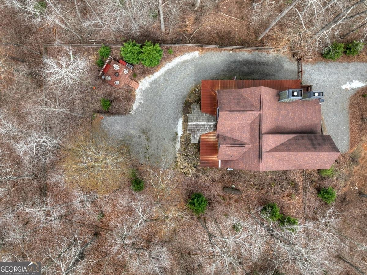 389 Toccoa Preserve Lane Blue Ridge - Photo 41