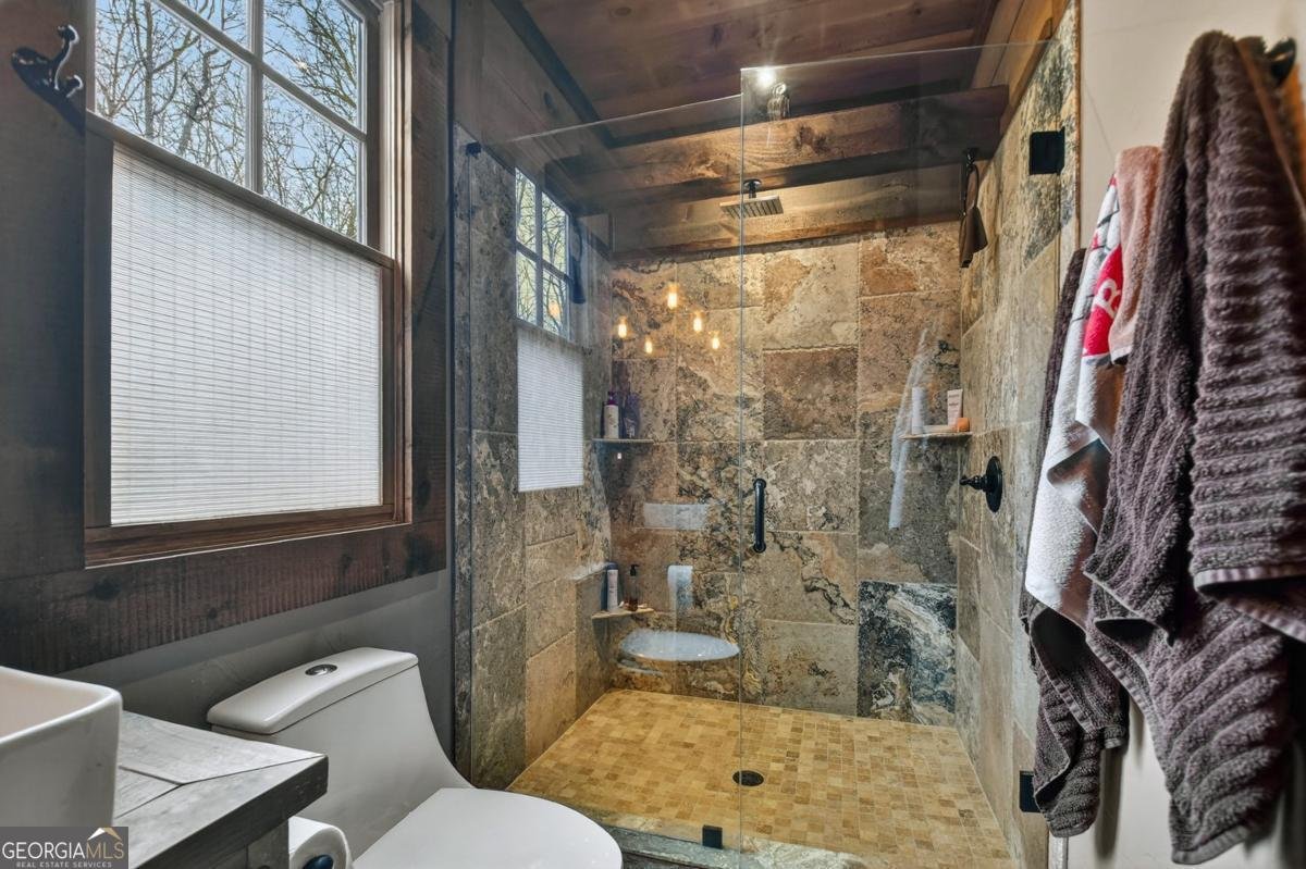 389 Toccoa Preserve Lane Blue Ridge - Photo 45