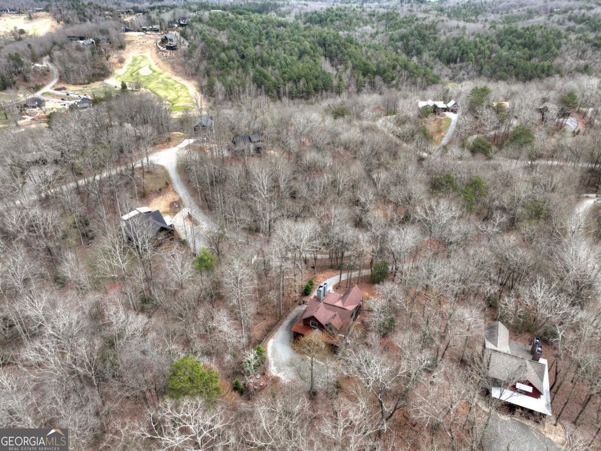 389 Toccoa Preserve Lane Blue Ridge - Photo 51