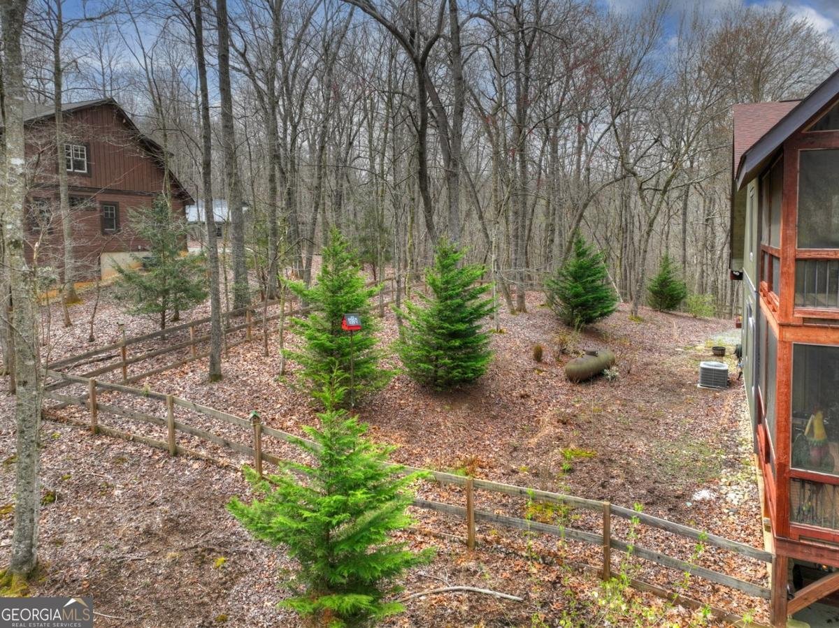 389 Toccoa Preserve Lane Blue Ridge - Photo 59