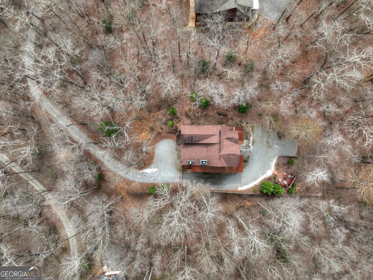 389 Toccoa Preserve Lane Blue Ridge - Photo 64