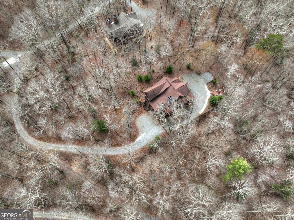 389 Toccoa Preserve Lane Blue Ridge - Photo 68