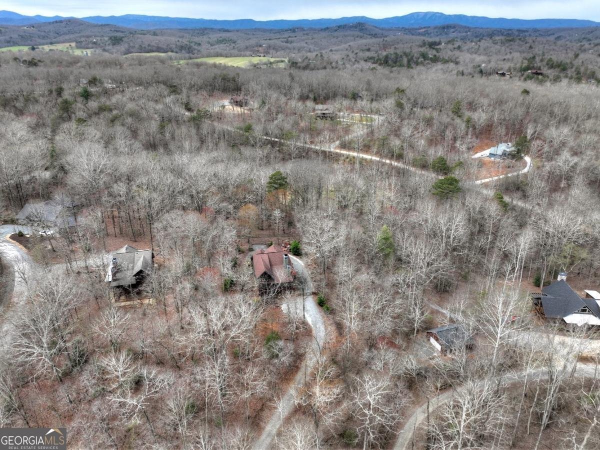 389 Toccoa Preserve Lane Blue Ridge - Photo 71