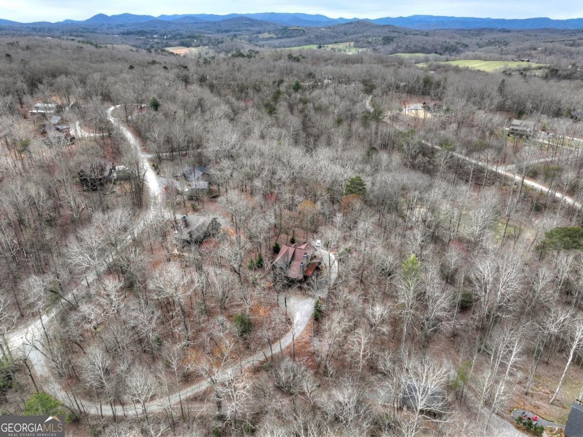 389 Toccoa Preserve Lane Blue Ridge - Photo 9