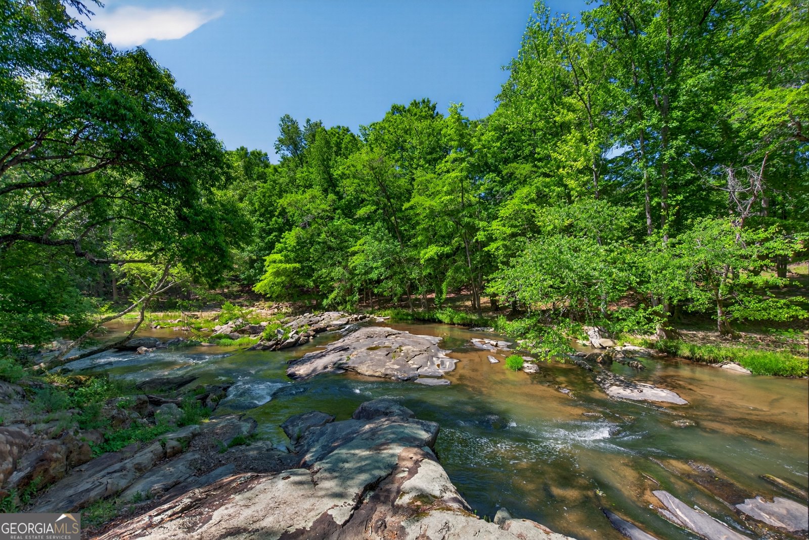 1326 Armstrong Mill Road Franklin - Photo 31