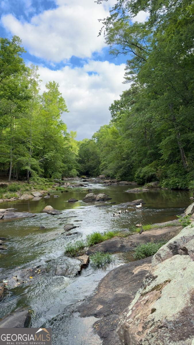 1326 Armstrong Mill Road Franklin - Photo 41