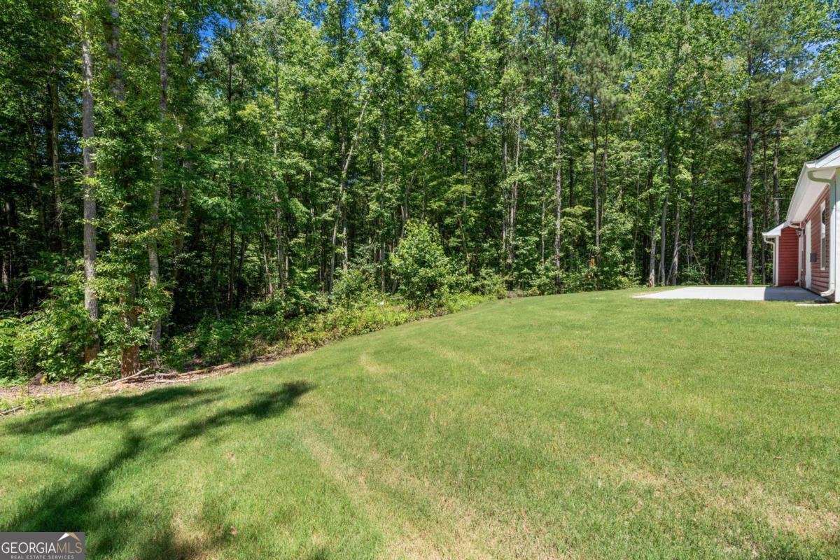 505 New Hope Church Road Carrollton - Photo 36