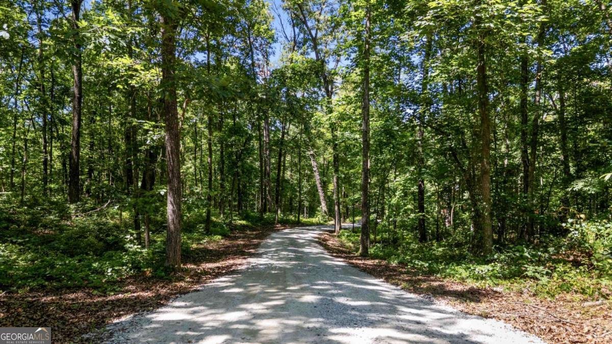 505 New Hope Church Road Carrollton - Photo 47