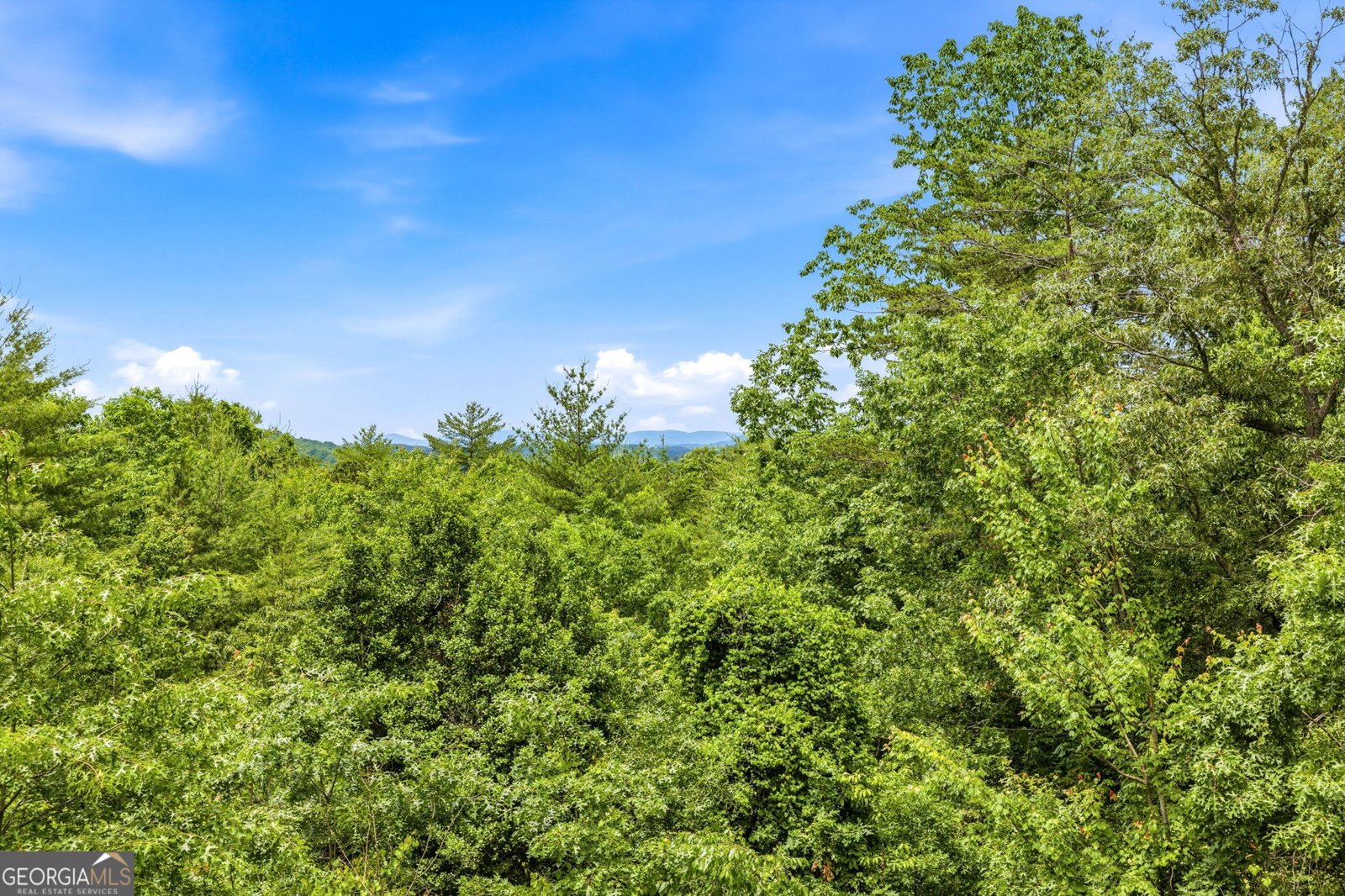 915 Sillycook Trail Clarkesville - Photo 43